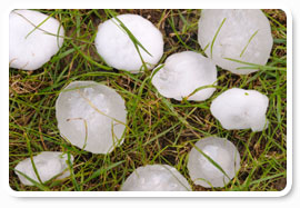 Illinois Hail Damage
